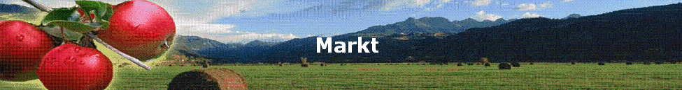 Markt