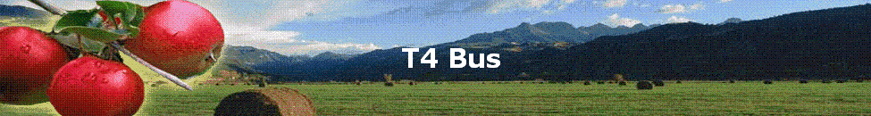 T4 Bus