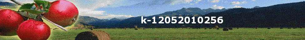 k-12052010256