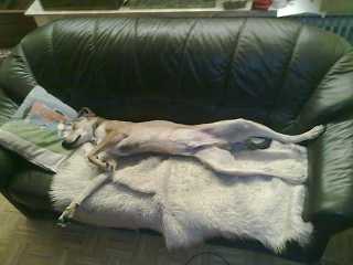 m-m-Fiete auf Rcken1